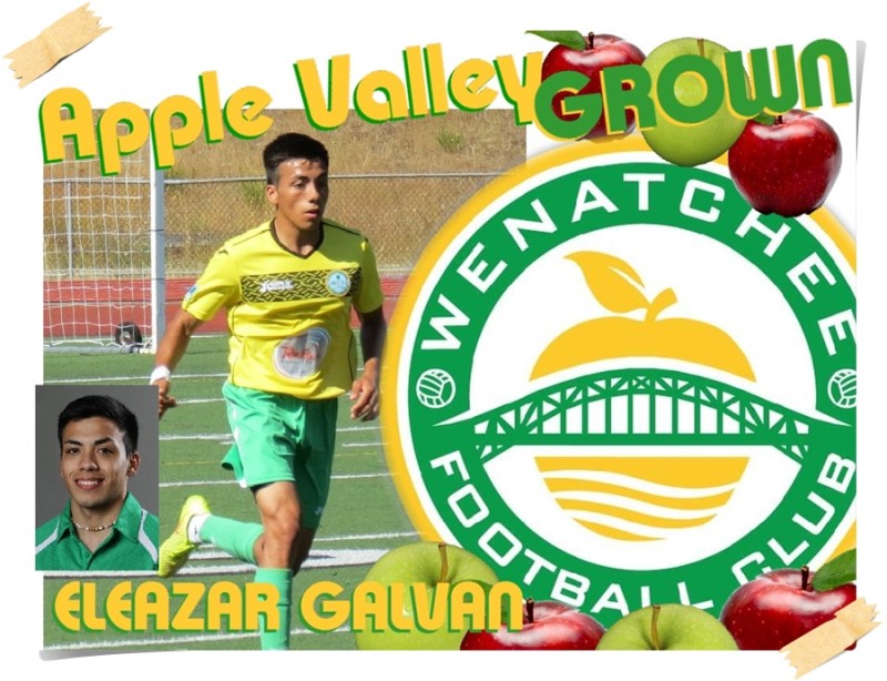 AVG-galvan
