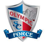OSC - Sheild - Force (PNG) - 600