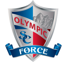 OSC - Sheild - Force (PNG) - 600
