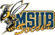 msub20soccer20logo