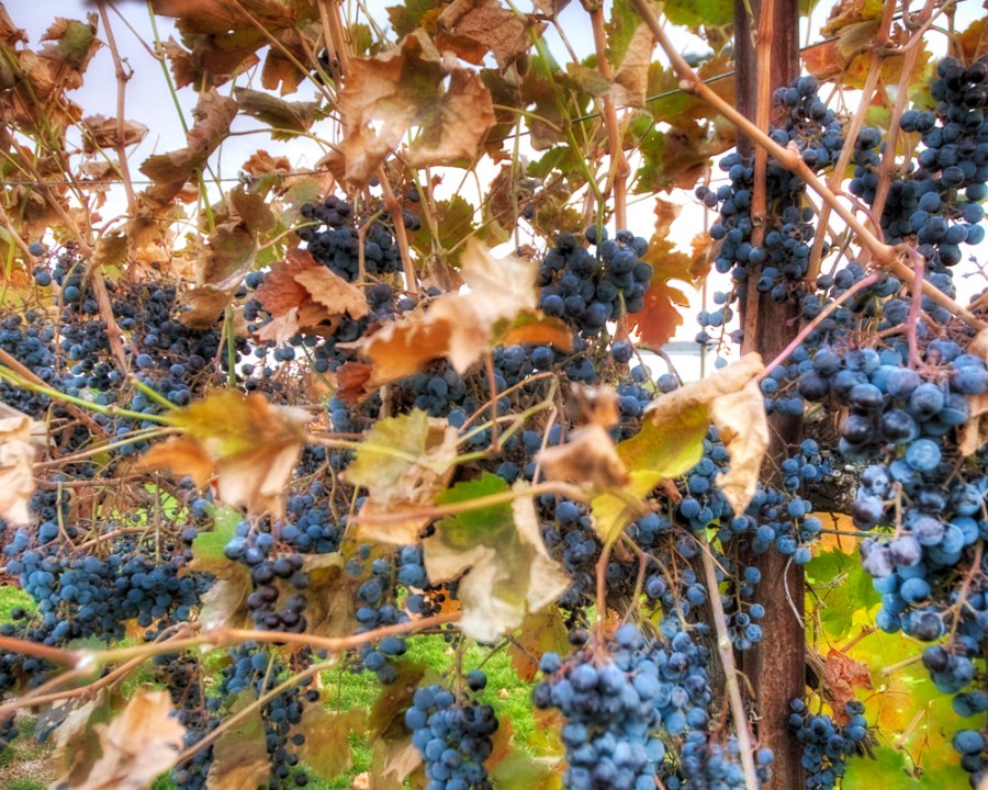 09 10 Car 164_5_6-Edit